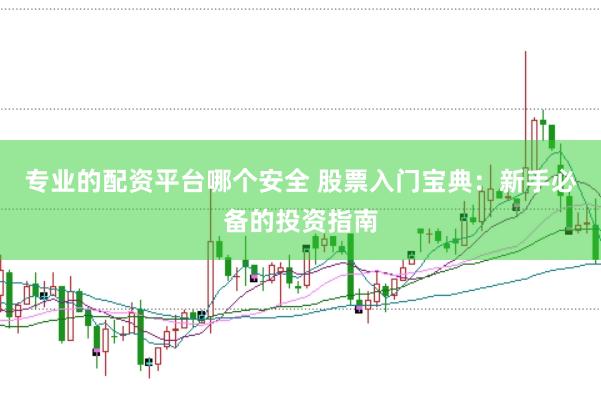 专业的配资平台哪个安全 股票入门宝典：新手必备的投资指南