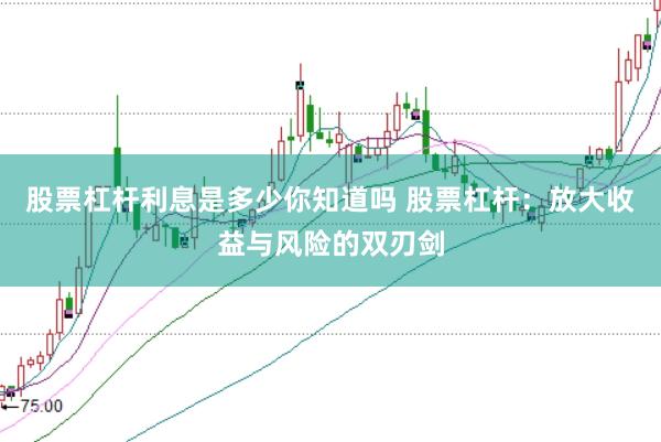 股票杠杆利息是多少你知道吗 股票杠杆：放大收益与风险的双刃剑