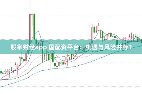 股掌财经app 国配资平台：机遇与风险并存？