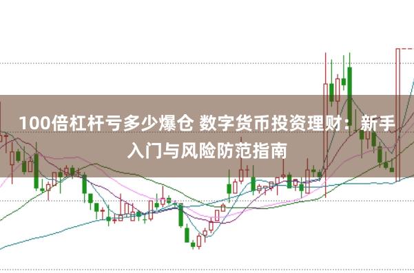100倍杠杆亏多少爆仓 数字货币投资理财：新手入门与风险防范指南