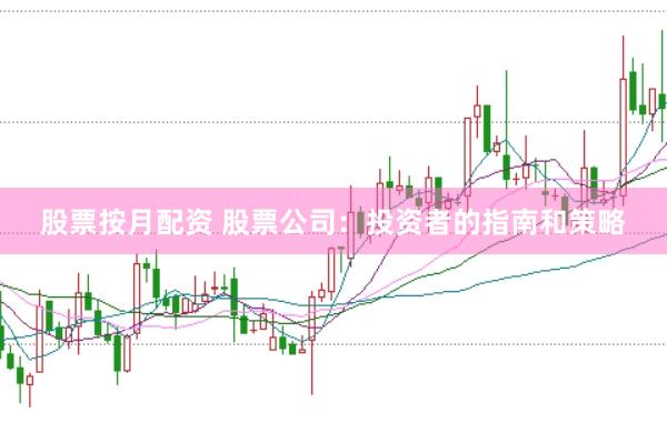 股票按月配资 股票公司：投资者的指南和策略