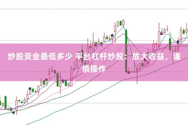 炒股资金最低多少 平台杠杆炒股：放大收益，谨慎操作