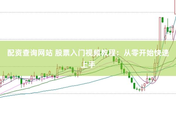 配资查询网站 股票入门视频教程：从零开始快速上手