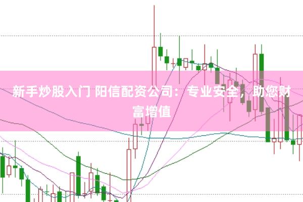 新手炒股入门 阳信配资公司：专业安全，助您财富增值