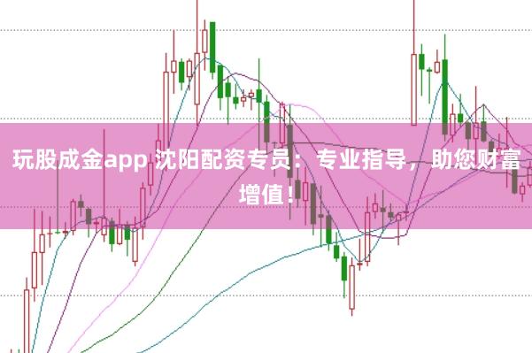玩股成金app 沈阳配资专员：专业指导，助您财富增值！