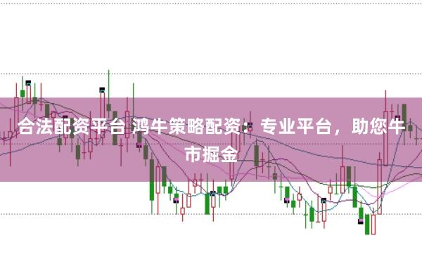 合法配资平台 鸿牛策略配资：专业平台，助您牛市掘金
