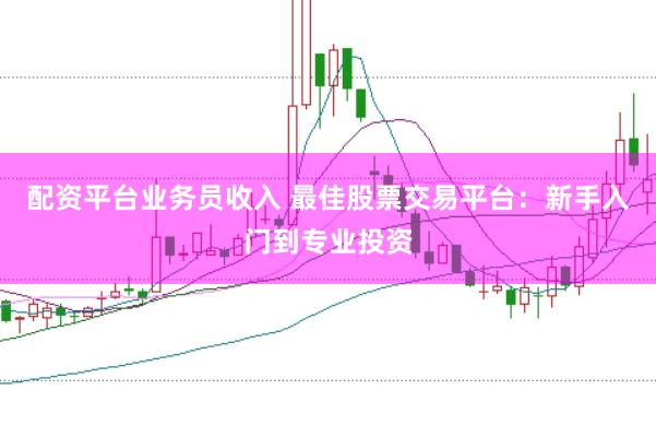 配资平台业务员收入 最佳股票交易平台：新手入门到专业投资
