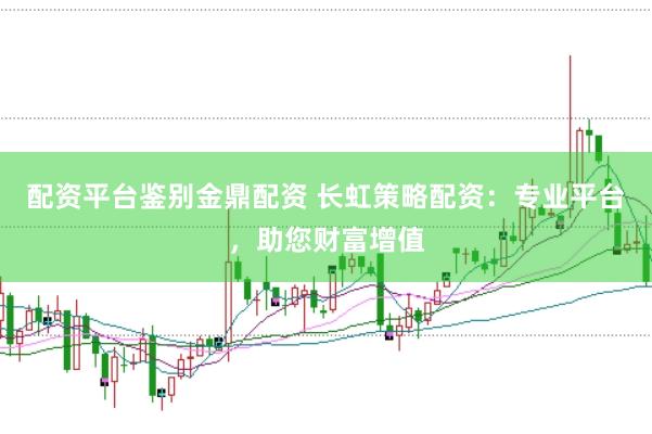 配资平台鉴别金鼎配资 长虹策略配资：专业平台，助您财富增值