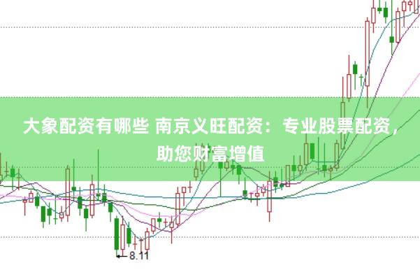 大象配资有哪些 南京义旺配资：专业股票配资，助您财富增值