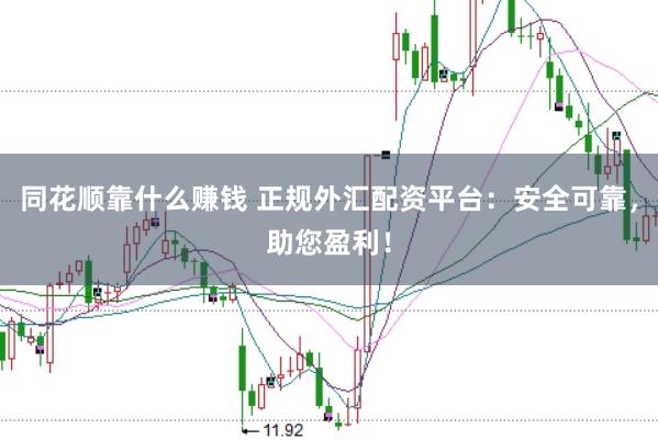 同花顺靠什么赚钱 正规外汇配资平台：安全可靠，助您盈利！