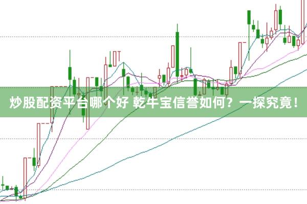 炒股配资平台哪个好 乾牛宝信誉如何？一探究竟！