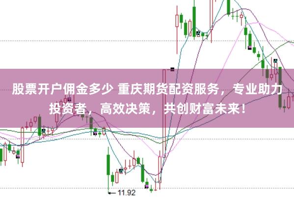 股票开户佣金多少 重庆期货配资服务，专业助力投资者，高效决策，共创财富未来！