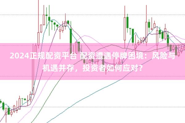 2024正规配资平台 配资遭遇停牌困境：风险与机遇并存，投资者如何应对？