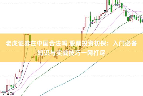 老虎证券在中国合法吗 股票投资初探：入门必备知识与实战技巧一网打尽