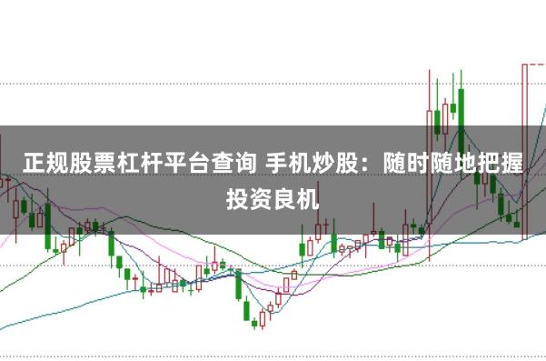 正规股票杠杆平台查询 手机炒股:随时随地把握投资良机