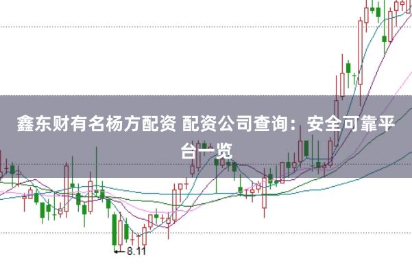鑫东财有名杨方配资 配资公司查询:安全可靠平台一览