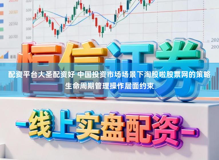 配资平台大圣配资好 中国投资市场场景下淘股啦股票网的策略生命周期管理操作层面约束