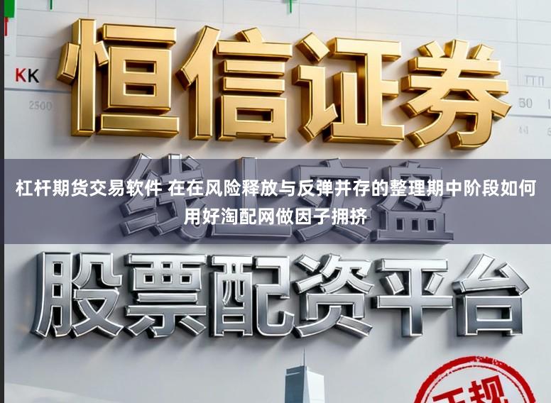 杠杆期货交易软件 在在风险释放与反弹并存的整理期中阶段如何用好淘配网做因子拥挤
