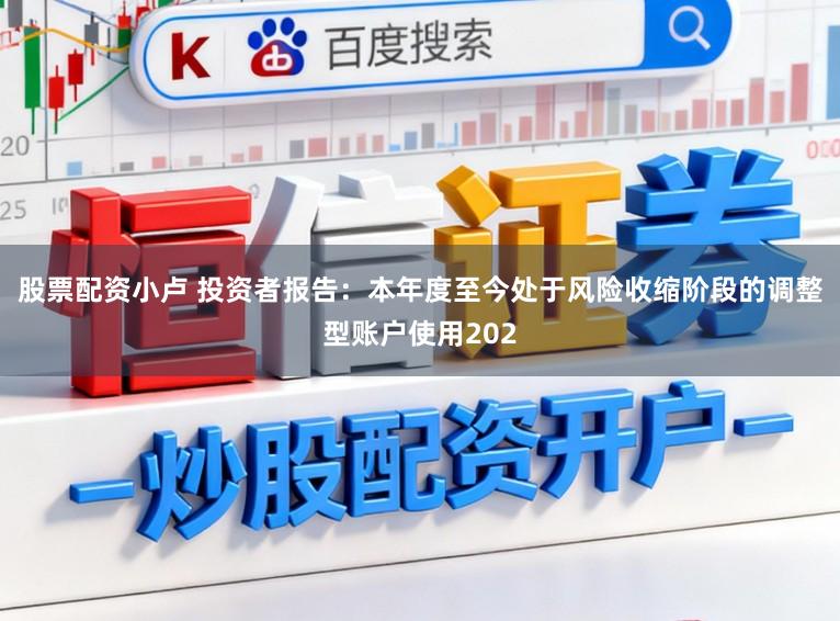 股票配资小卢 投资者报告：本年度至今处于风险收缩阶段的调整型账户使用202