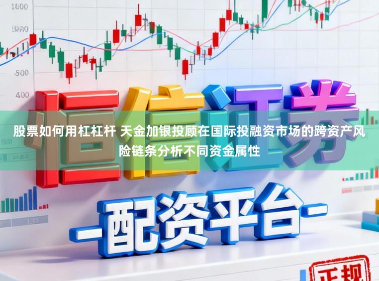 股票如何用杠杠杆 天金加银投顾在国际投融资市场的跨资产风险链条分析不同资金属性